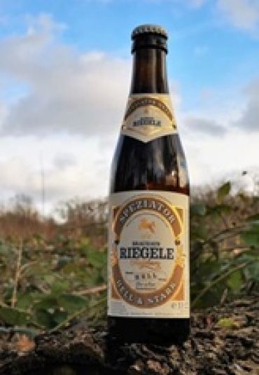 Riegele Speziator Hell 33C