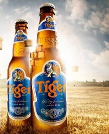 Tiger Lager Beer 33P